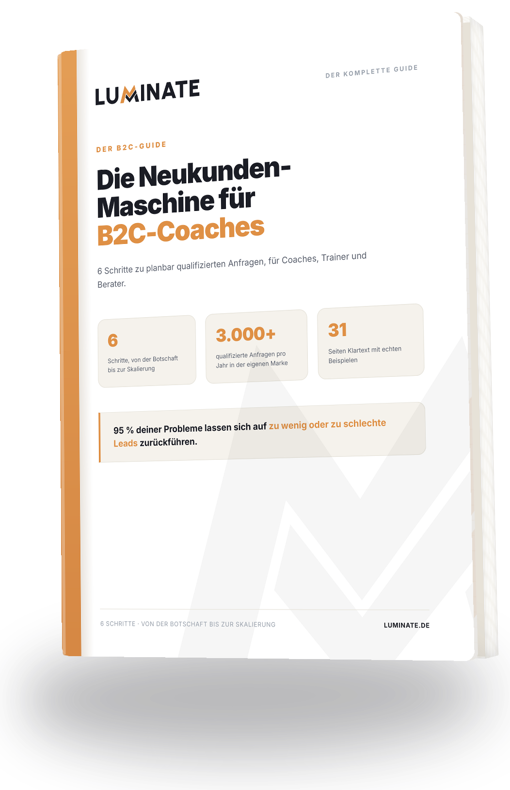 Luminate B2C-Guide: Die Neukunden-Maschine für B2C-Coaches